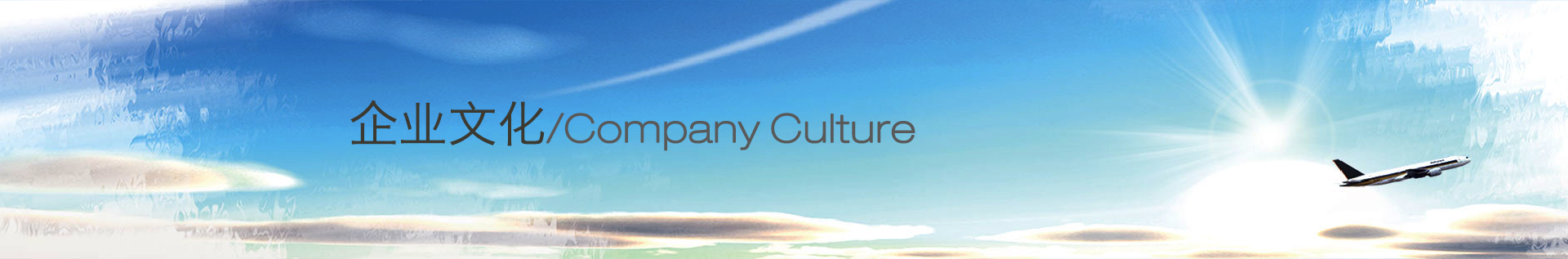 企業文化